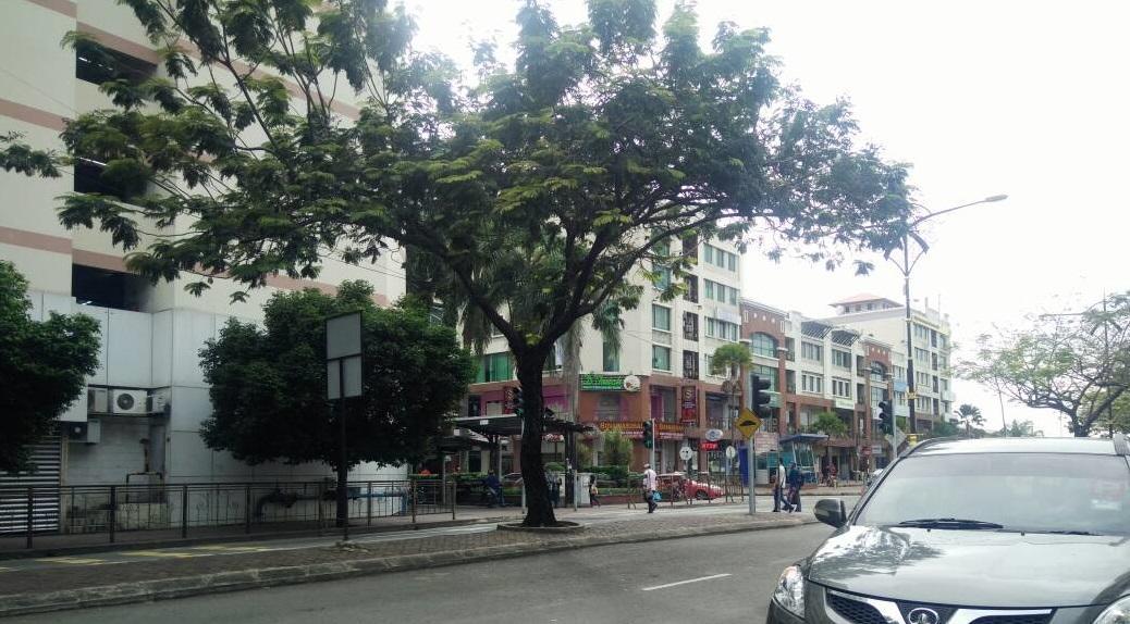 Ostello Escape Backpackers Kk Kota Kinabalu Esterno foto